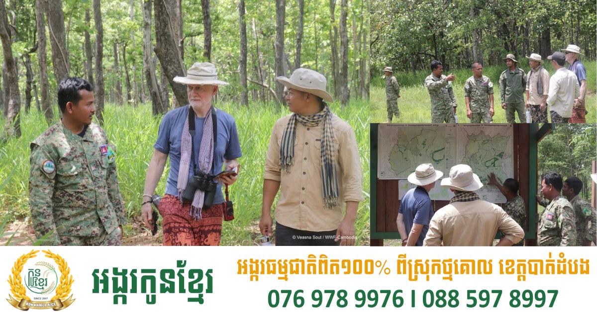 WWF គាំទ្រដល់អ្នកការពារធនធានធម្មជាតិ ដើម្បីការពារព្រៃឈើ និងសត្វព្រៃរបស់កម្ពុជា