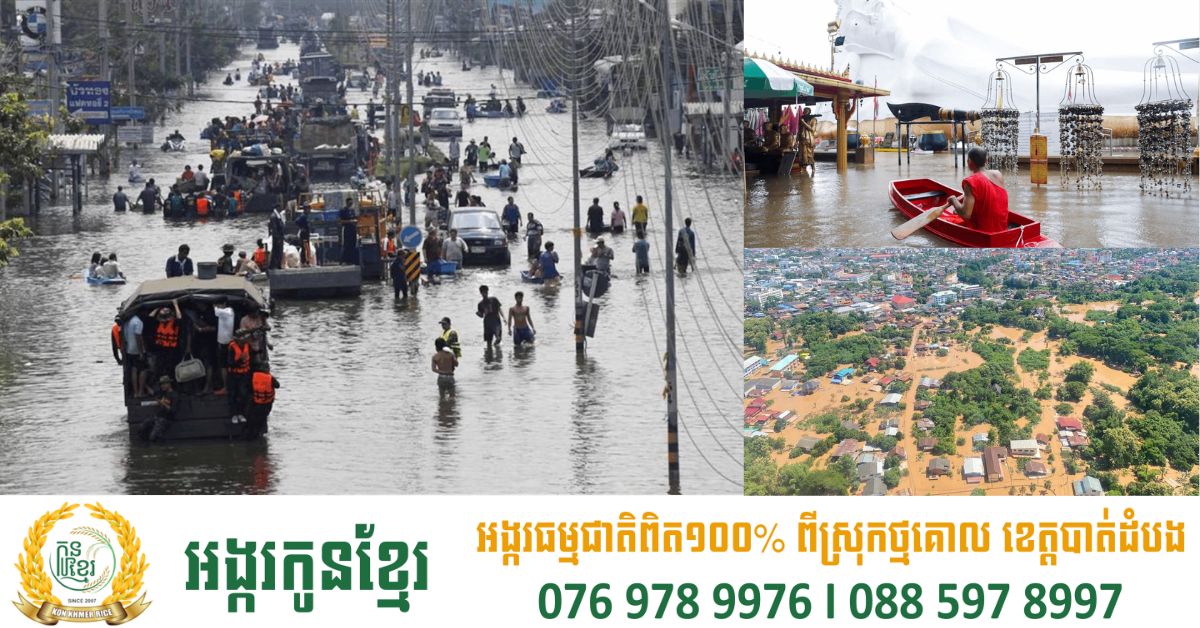 រដ្ឋបាលក្រុងបាងកកត្រៀមខ្លួនទប់ទល់នឹងគ្រោះទឹកជំនន់ ខណៈទឹកទន្លេចៅប្រាយ៉ាហក់ឡើងខ្លាំង