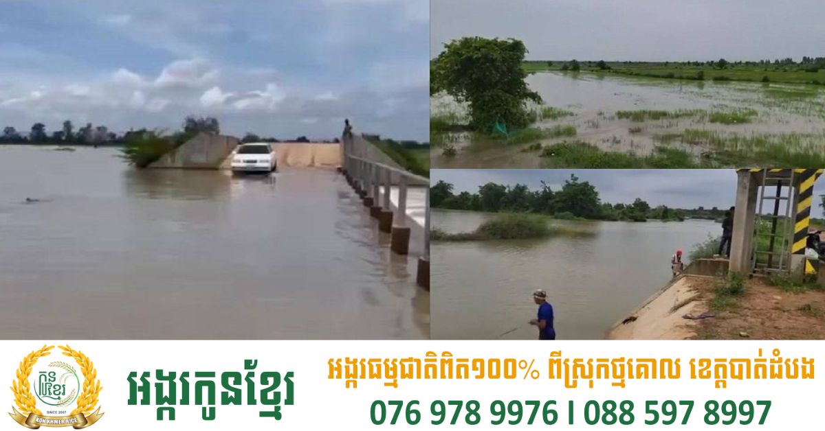 ជំនន់ទឹកភ្លៀងពីតំបន់ព្រំដែន បណ្តាលឱ្យស្រូវកសិករខេត្តបន្ទាយមានជ័យជន់លិចជាង ៣០ ហិកតា