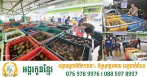 ផ្លែឈើថៃចាប់ផ្ដើមធ្លាក់តម្លៃបណ្ដើរៗហើយ បន្ទាប់ពីកម្ពុជាប្រកាសបិទច្រកព្រំដែន មិនឲ្យមានការនាំចូលបន្លែ និងផ្លែឈើថៃមកកម្ពុជាទៀត