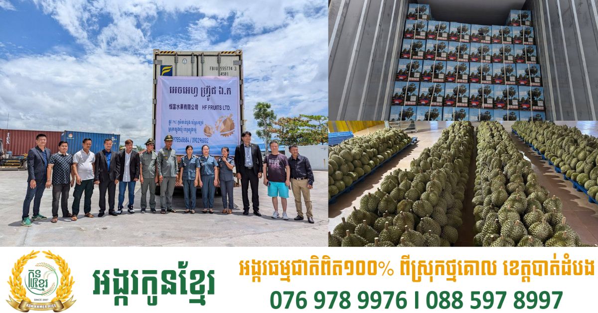 កម្ពុជា​ចាប់ផ្តើម​នាំចេញ​ផ្លែទុរេន​ទម្ងន់១៧តោន​ ទៅ​ចិន​ជាផ្លូវការ