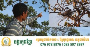 វាស រ៉ាន់ ជាជនជាតិដើមភាគតិច ប្រើពេល១៣ឆ្នាំ ការពសារសំបុកសត្វត្រដក់តូច និងត្រយងចង្កំកស ក្នុងកិច្ចរួមចំណែកការងារអភិរក្ស