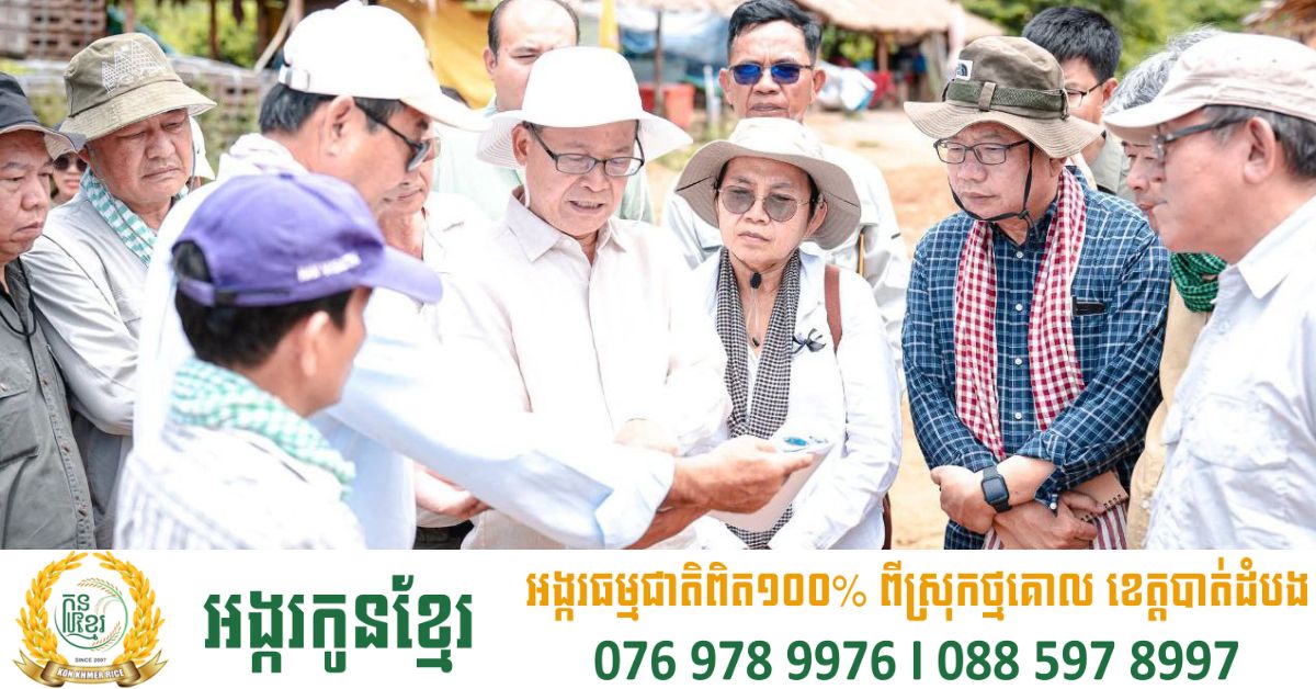 ក្រសួងបរិស្ថាន កំពុងពន្លឿនការដ្ឋានសាងសង់ហេដ្ឋារចនាសម្ព័ន្ធផ្លូវឡើងទៅភ្នំខ្នងផ្សារ