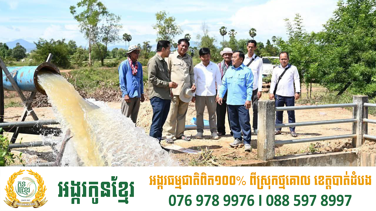 មន្ត្រីជំនាញ ចុះពិនិត្យការងារអន្តរាគមន៍ទឹកសង្រ្គោះស្រូវប្រជាកសិករប្រមាណជិត ៣០០ហិកតា ក្នុងខេត្តកំពង់ស្ពឺ